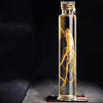 image 参茸海马酒