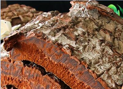 image 安哥拉树皮